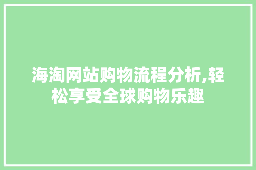 海淘网站购物流程分析,轻松享受全球购物乐趣
