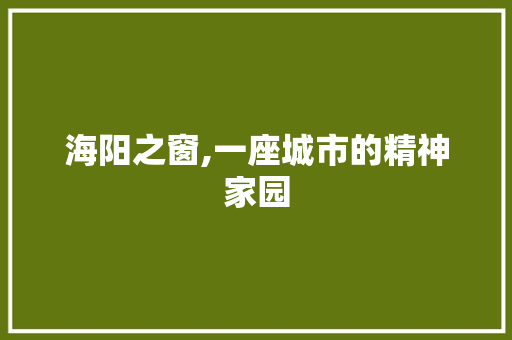 海阳之窗,一座城市的精神家园 海阳之窗,一座城市的精神家园 seo技术
