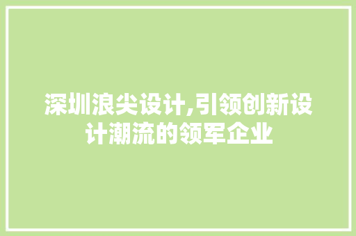 深圳浪尖设计,引领创新设计潮流的领军企业
