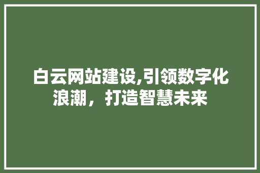 白云网站建设,引领数字化浪潮，打造智慧未来