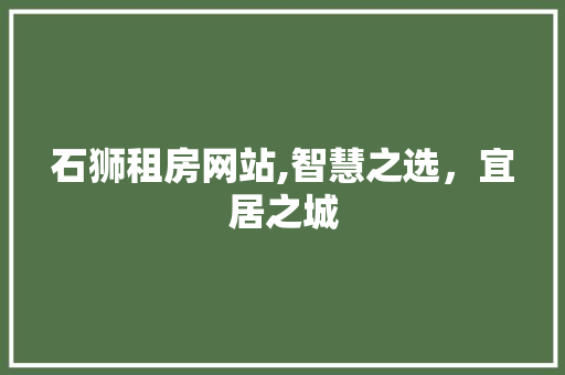 石狮租房网站,智慧之选，宜居之城