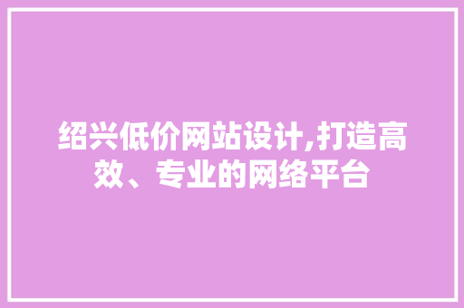 绍兴低价网站设计,打造高效、专业的网络平台