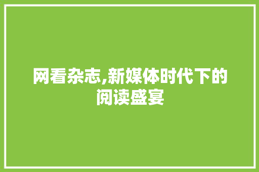 网看杂志,新媒体时代下的阅读盛宴