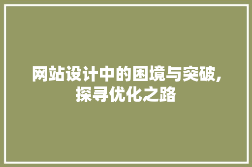 网站设计中的困境与突破,探寻优化之路