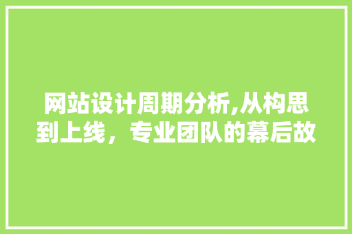 网站设计周期分析,从构思到上线，专业团队的幕后故事