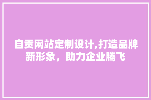 自贡网站定制设计,打造品牌新形象，助力企业腾飞