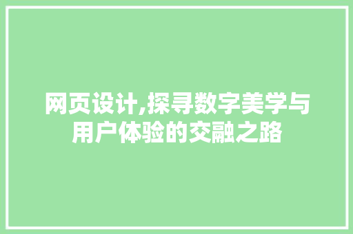 网页设计,探寻数字美学与用户体验的交融之路