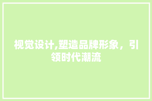 视觉设计,塑造品牌形象，引领时代潮流