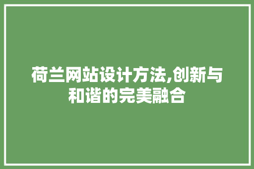 荷兰网站设计方法,创新与和谐的完美融合