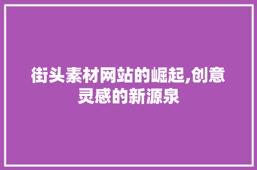 街头素材网站的崛起,创意灵感的新源泉