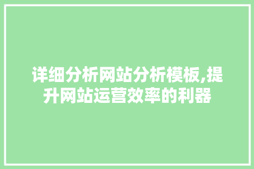 详细分析网站分析模板,提升网站运营效率的利器