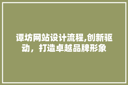 谭坊网站设计流程,创新驱动，打造卓越品牌形象
