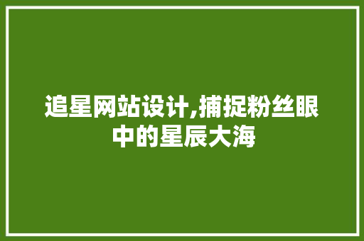 追星网站设计,捕捉粉丝眼中的星辰大海