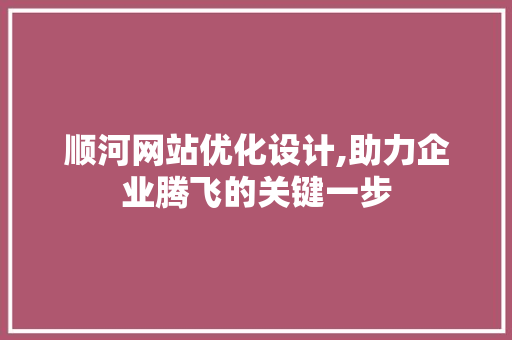 顺河网站优化设计,助力企业腾飞的关键一步
