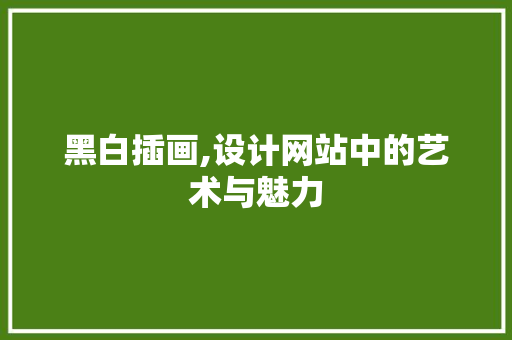 黑白插画,设计网站中的艺术与魅力