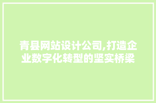 青县网站设计公司,打造企业数字化转型的坚实桥梁 青县网站设计公司,打造企业数字化转型的坚实桥梁 360搜优化