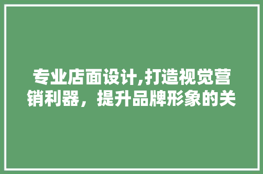 专业店面设计,打造视觉营销利器，提升品牌形象的关键步骤 专业店面设计,打造视觉营销利器，提升品牌形象的关键步骤 网站优化