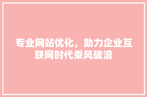 专业网站优化，助力企业互联网时代乘风破浪(专业网站优化解决方案)