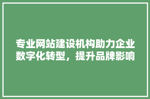 专业网站建设机构助力企业数字化转型，提升品牌影响力
