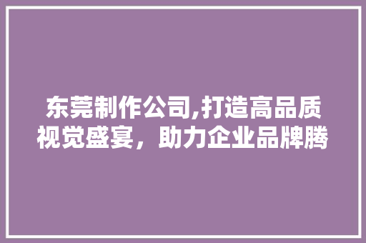东莞制作公司,打造高品质视觉盛宴，助力企业品牌腾飞