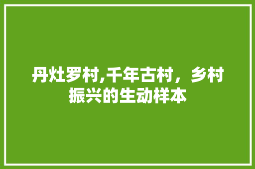 丹灶罗村,千年古村，乡村振兴的生动样本