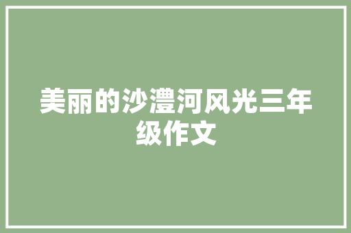 乐从罗村网站,构筑数字化乡村新面貌，助力乡村振兴战略