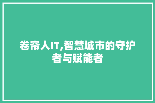 卷帘人IT,智慧城市的守护者与赋能者 网站优化