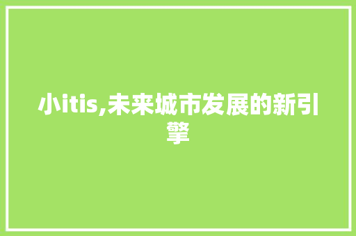 小itis,未来城市发展的新引擎 seo技术