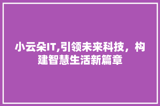 小云朵IT,引领未来科技，构建智慧生活新篇章 网站优化