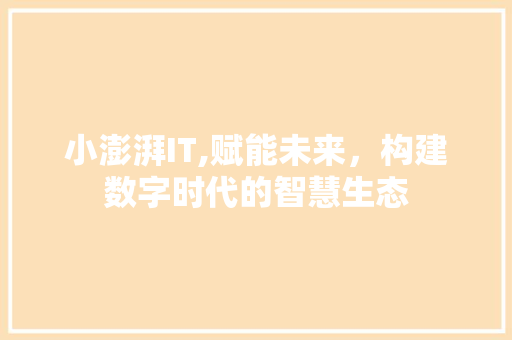 小澎湃IT,赋能未来，构建数字时代的智慧生态