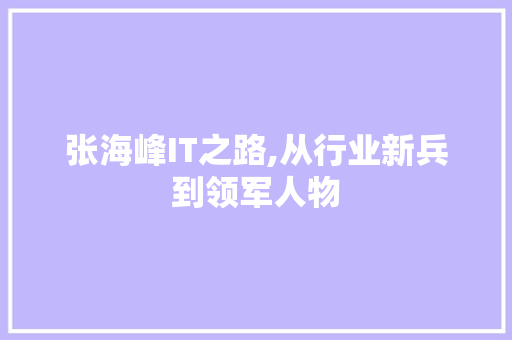 张海峰IT之路,从行业新兵到领军人物