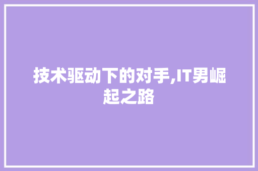 技术驱动下的对手,IT男崛起之路 网站开发