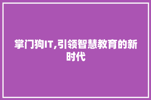 掌门狗IT,引领智慧教育的新时代 网站优化