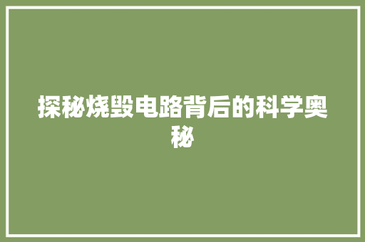探秘烧毁电路背后的科学奥秘
