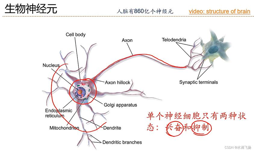 互联网的运作原理,介绍信息时代的神经系统 互联网的运作原理,介绍信息时代的神经系统 网站开发
