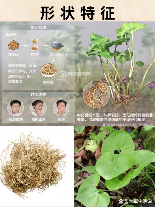 叶草G6914,探寻传统草药的现代价值与应用 叶草G6914,探寻传统草药的现代价值与应用 搜狗优化