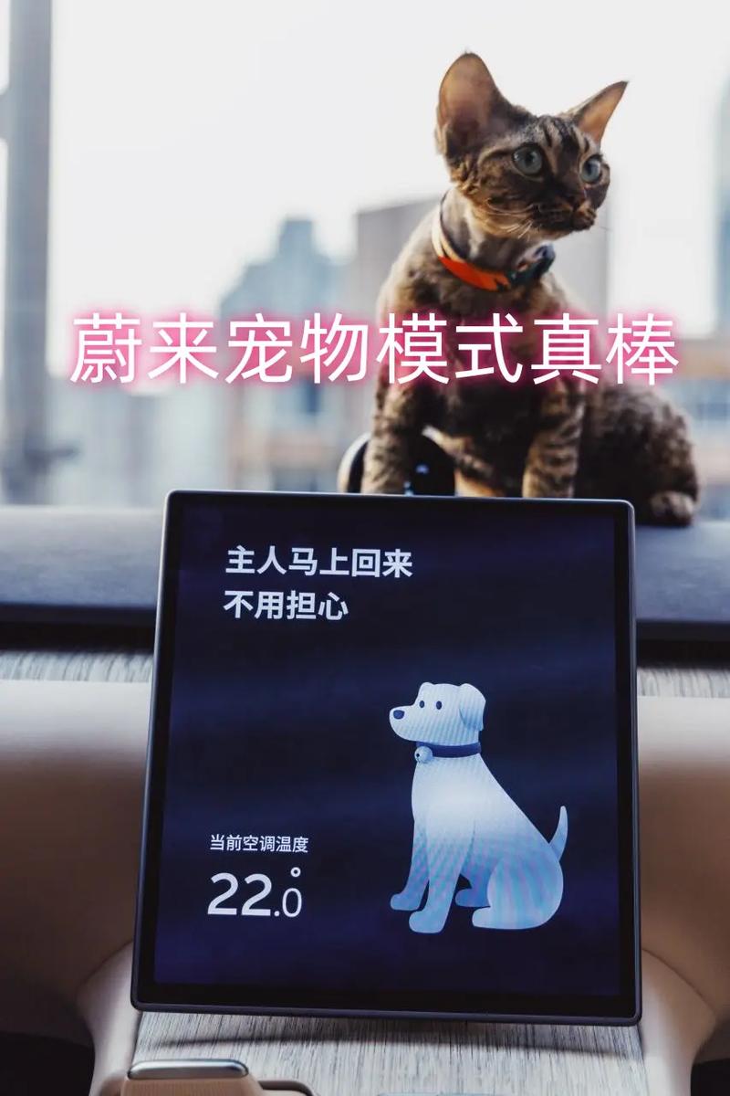 打造宠物网站,关爱宠物，从指尖开始 打造宠物网站,关爱宠物，从指尖开始 小程序开发