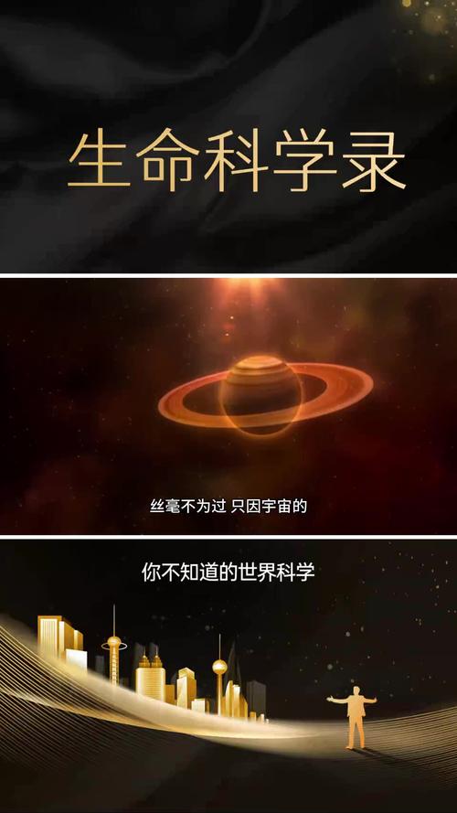 探寻橙黑色站的奥秘,一场视觉与科技的盛宴 探寻橙黑色站的奥秘,一场视觉与科技的盛宴 百度算法