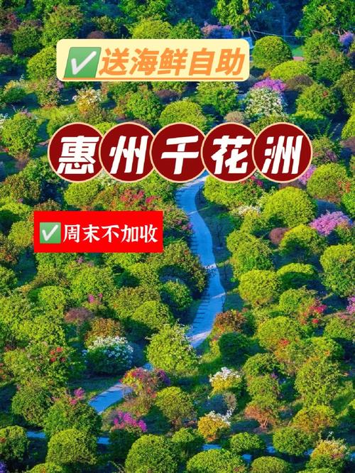 海鲜花网站,打造绿色生态，引领未来家居潮流 海鲜花网站,打造绿色生态，引领未来家居潮流 英文谷歌算法