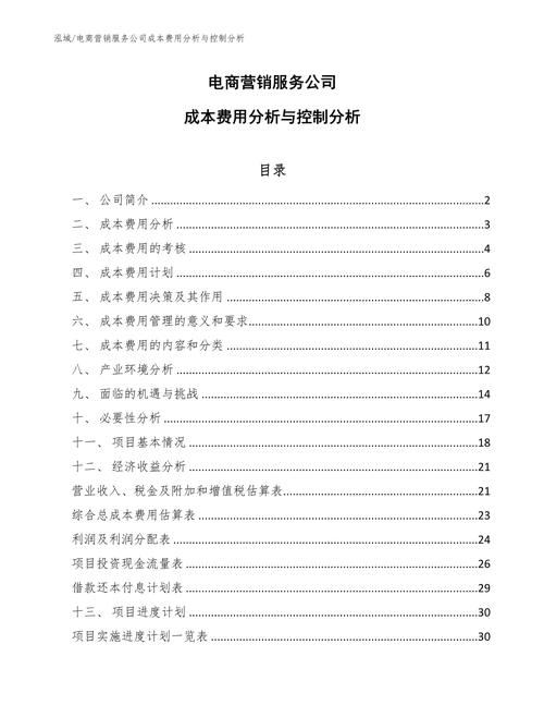 电商网站成本分析,介绍电商运营背后的经济秘密 电商网站成本分析,介绍电商运营背后的经济秘密 小程序开发