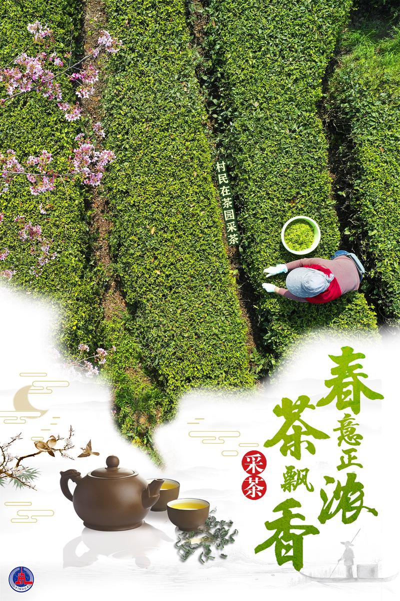 茶海报设计,传承茶文化，绽放视觉盛宴 茶海报设计,传承茶文化，绽放视觉盛宴 网站优化