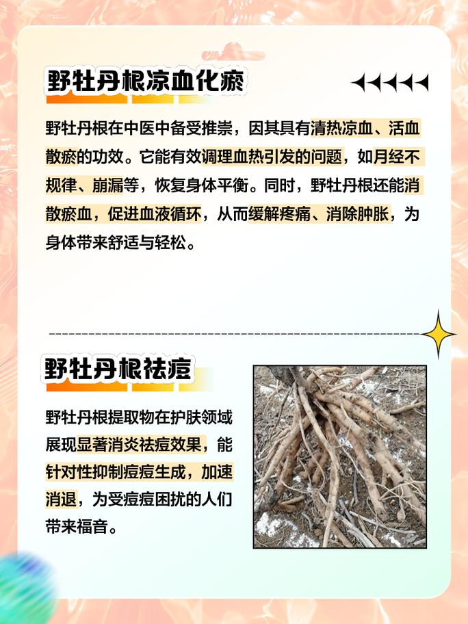 介绍JSP函数声明,技术背后的奥秘与价值 介绍JSP函数声明,技术背后的奥秘与价值 头条优化