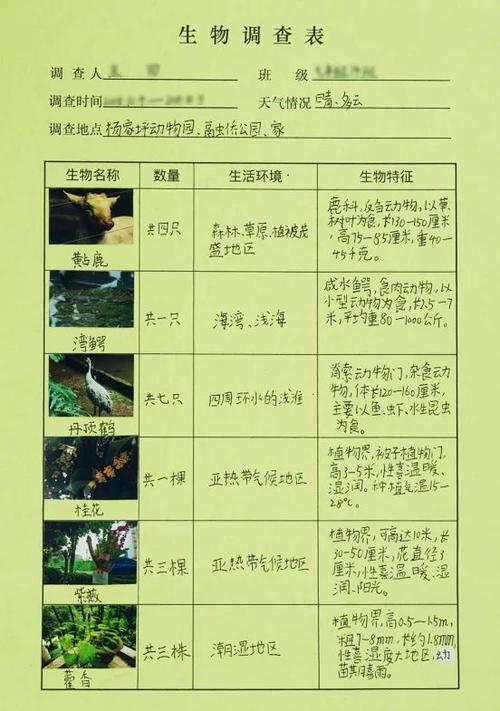 探寻JSP日期相减的奥秘,技术与应用 探寻JSP日期相减的奥秘,技术与应用 头条优化