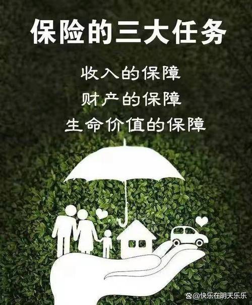 中国人寿财产保险,守护您财富的坚实盾牌 中国人寿财产保险,守护您财富的坚实盾牌 搜狗优化
