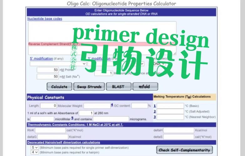 DC引物设计网站,基因研究的有力工具 DC引物设计网站,基因研究的有力工具 百度算法