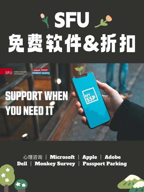 介绍软件折扣网站,如何节省开支，高效获取正版软件 介绍软件折扣网站,如何节省开支，高效获取正版软件 英文谷歌算法