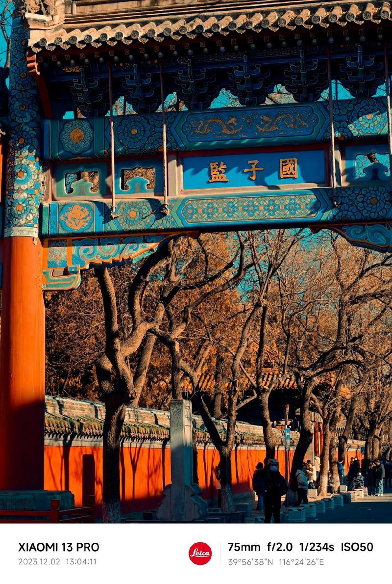 光影流年，好片网站的电影盛宴,发现光影之美，品味人生百态 光影流年，好片网站的电影盛宴,发现光影之美，品味人生百态 AI技术学习