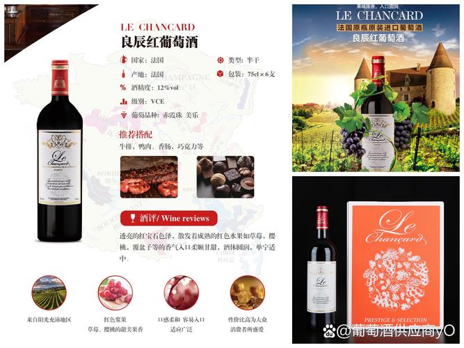 品味红酒文化，探索进口红酒网站的魅力 品味红酒文化，探索进口红酒网站的魅力 百度算法