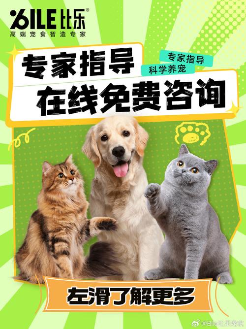 宠物网站,打造宠物生活新天地，守护爱宠健康与快乐 宠物网站,打造宠物生活新天地，守护爱宠健康与快乐 搜狗优化
