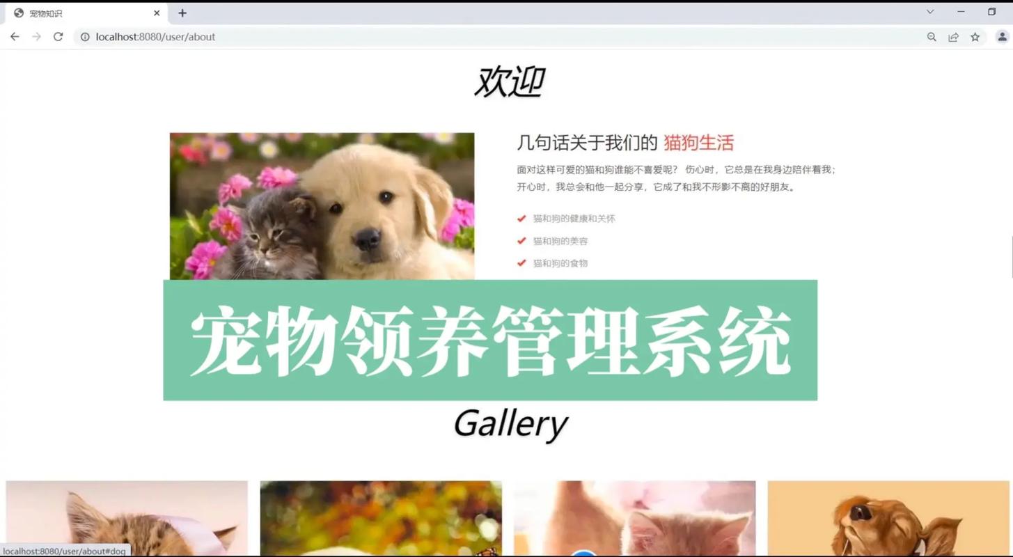 拥抱温暖，领养宠物_探索领养宠物网站的奇妙世界 拥抱温暖，领养宠物_探索领养宠物网站的奇妙世界 网站优化